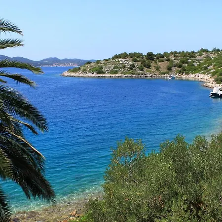 Secluded Fisherman's Lavdara, Dugi Otok - 8155 * Sali